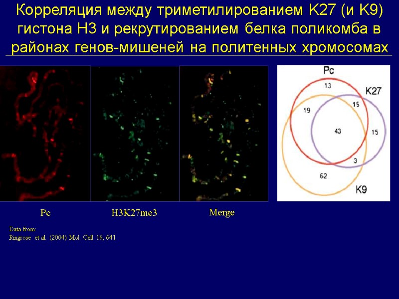 Корреляция между триметилированием K27 (и K9) гистона Н3 и рекрутированием белка поликомба в районах